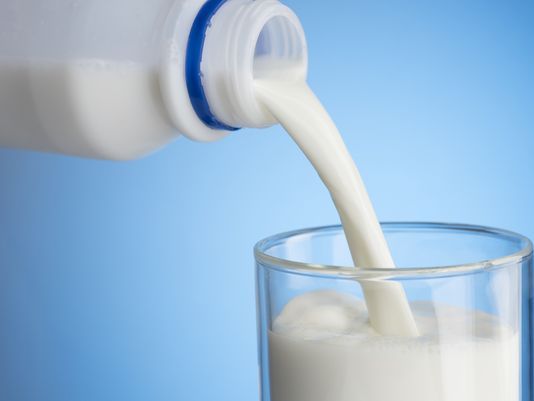 تولید شیر پروبیوتیک توسط پژوهشگران کشور