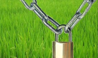 اذعان دبیر ستاد توسعه زیست فناوری به موفقیت عوامل قدرتهای خارجی در کارشکنی علیه تولید محصولات تراریخته