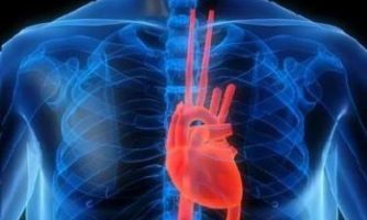 موفقیت محققان پژوهشگاه رویان در ساخت بیوراکتور زیست تقلید در مهندسی بافت قلب