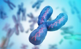 مطالعه محققان ایرانی نشان داد: نقش احتمالی ژنهای کروموزوم Y در تکوین سلولهای پیش ساز عصبی