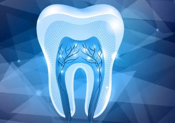 درمان شایع ترین عفونت دندانی تمایز سلول های بنیادی استخراج شده از پایه دندان